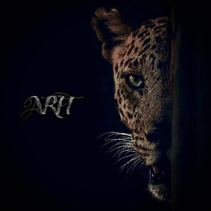 婷婷六月在线视频
